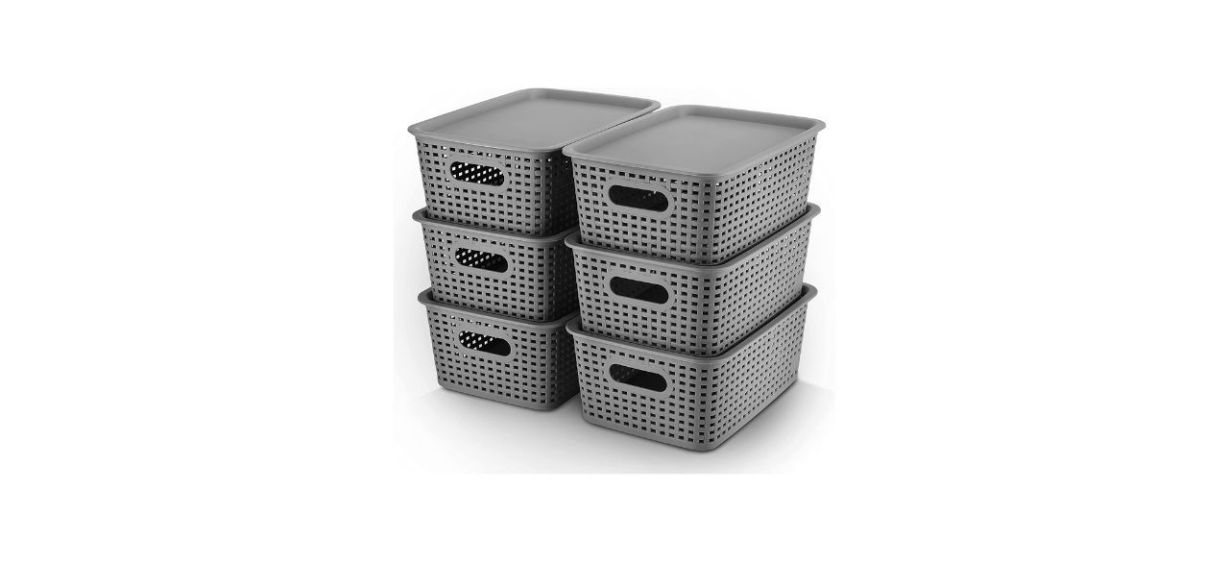 AREYZIN Plastic Storage Bins With Lid Set of 6 Storage Baskets for