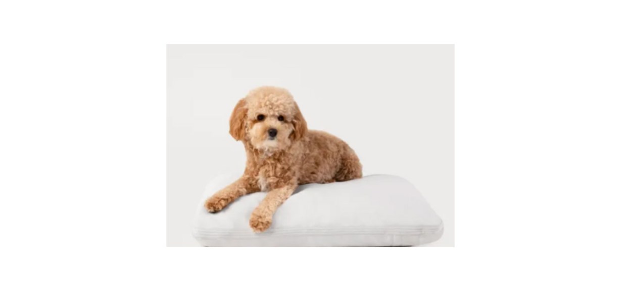 https://cdn9.bestreviews.com/images/v4desktop/image-full-page-cb/best-diggs-dog-supplies-pillo-dog-bed.jpg?p=w1228