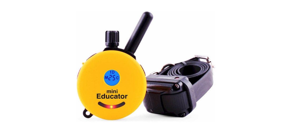 Best Educator Mini Educator E-Collar-reviews