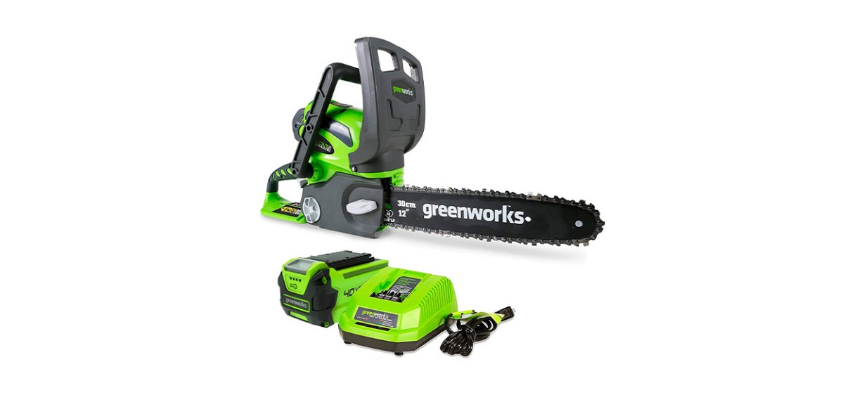 Best Greenworks 40-Volt 12-Inch Cordless Compact Chainsaw 
