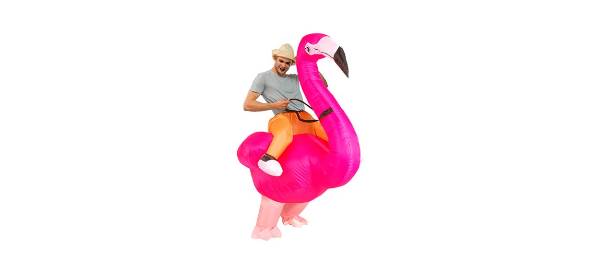 Best Kooy Inflatable Flamingo Costume