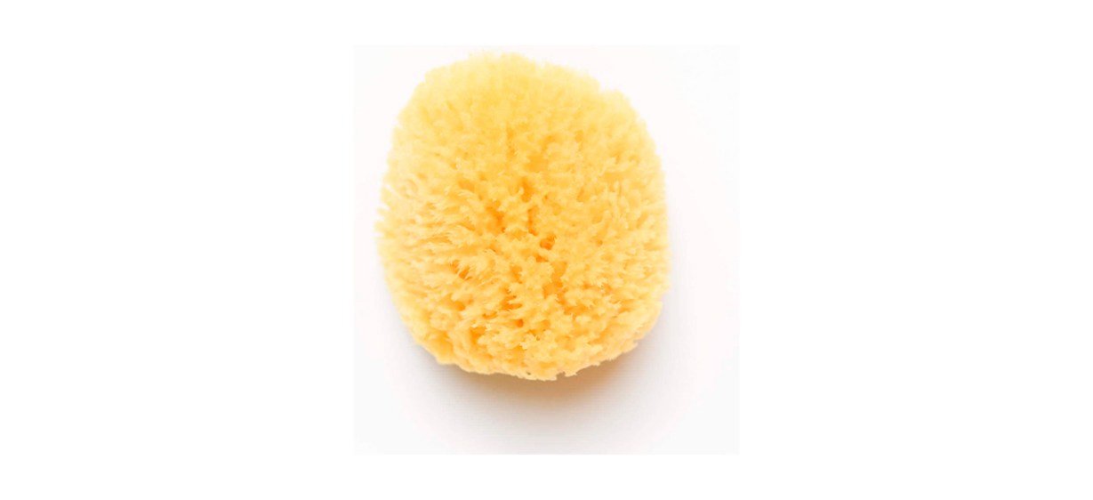 Best Kyte Baby Natural Sea Sponge