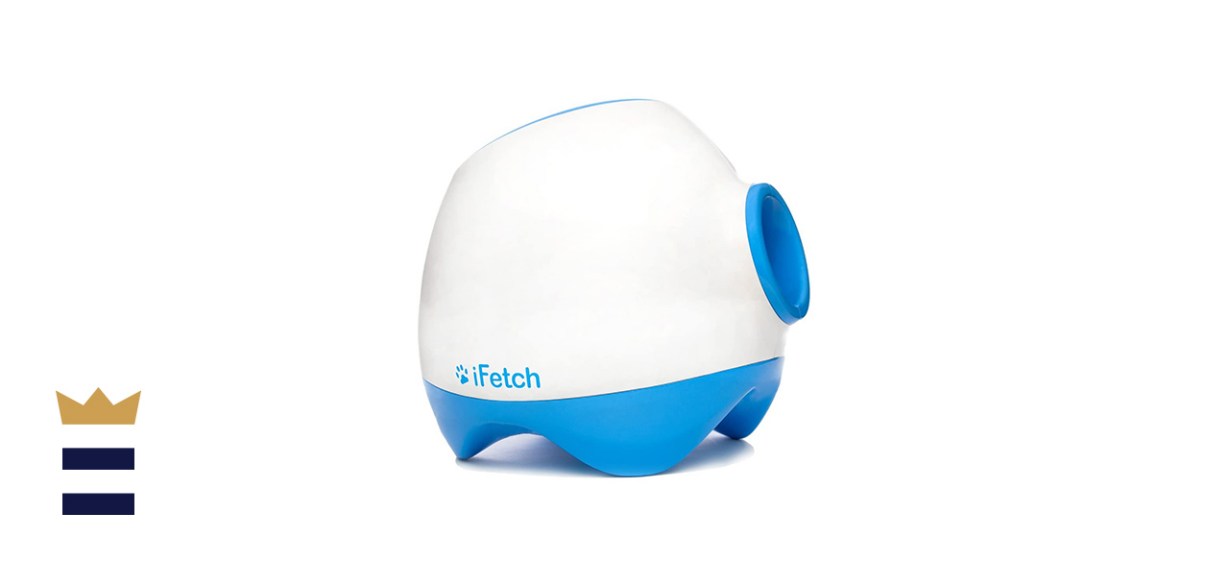 Crutchfield iFetch Too 