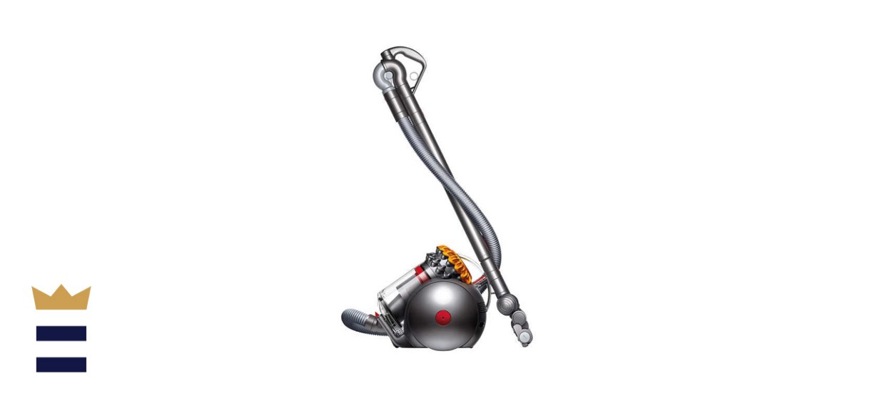 Dyson Big Ball Canister Vacuum