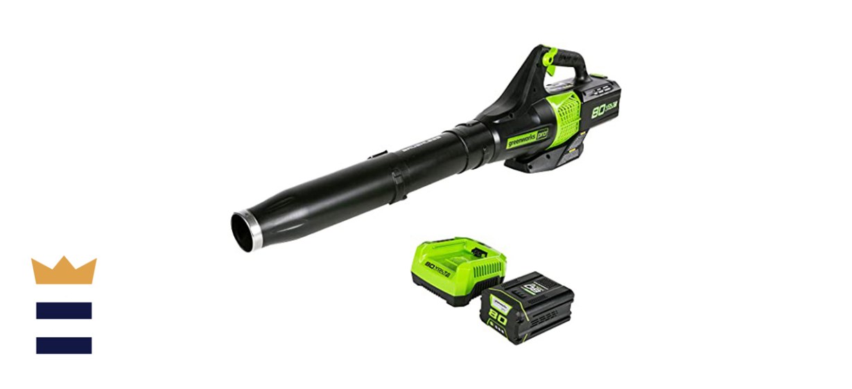 Greenworks Pro 80V Leaf Blower