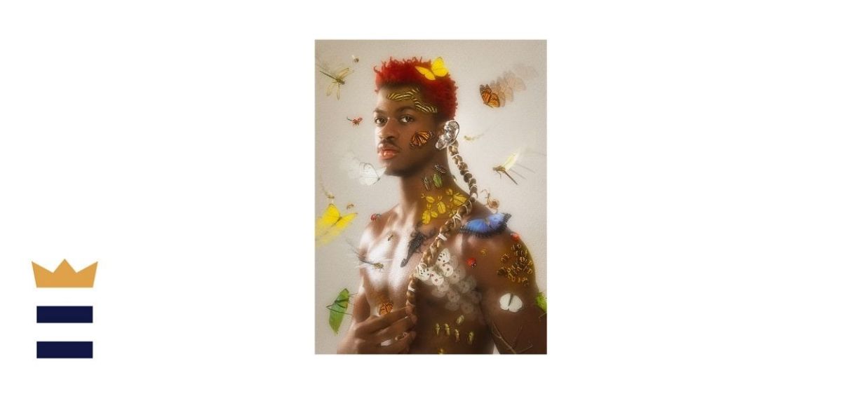 Lil Nas X Insects Pose Poster