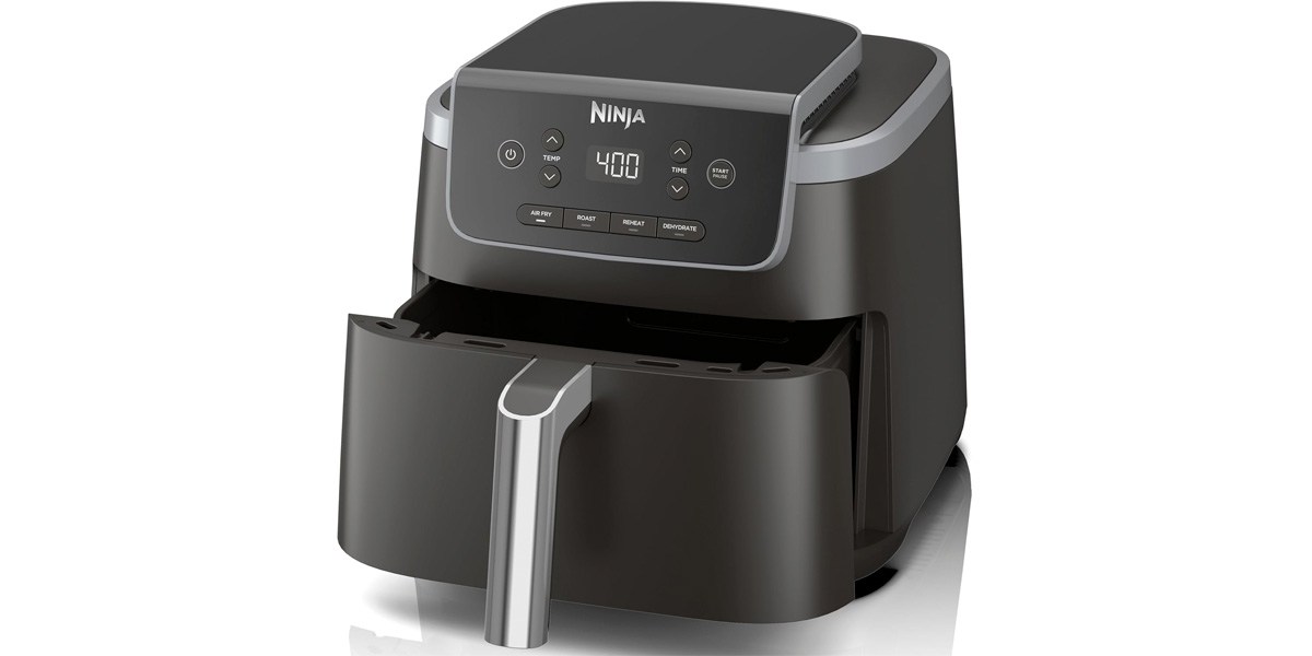 Ninja Air Fryer 4-in-1 Pro