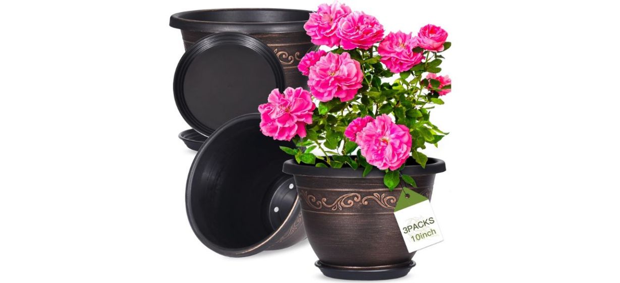 Pottiffe Plastic Flower Planter on white background