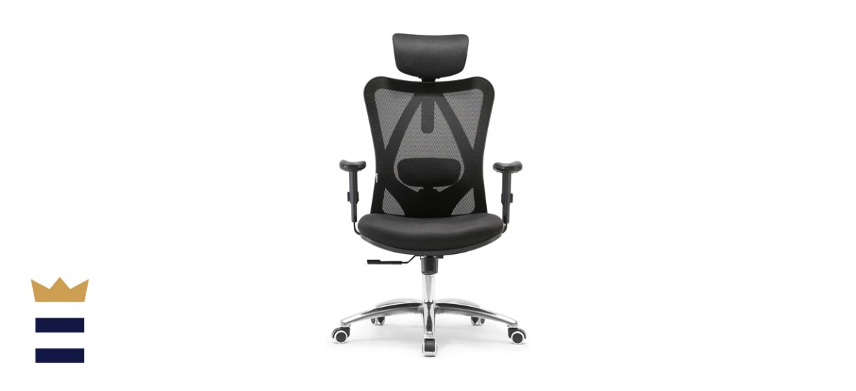 SIHOO Office Chair Ergonomic Office Chair 