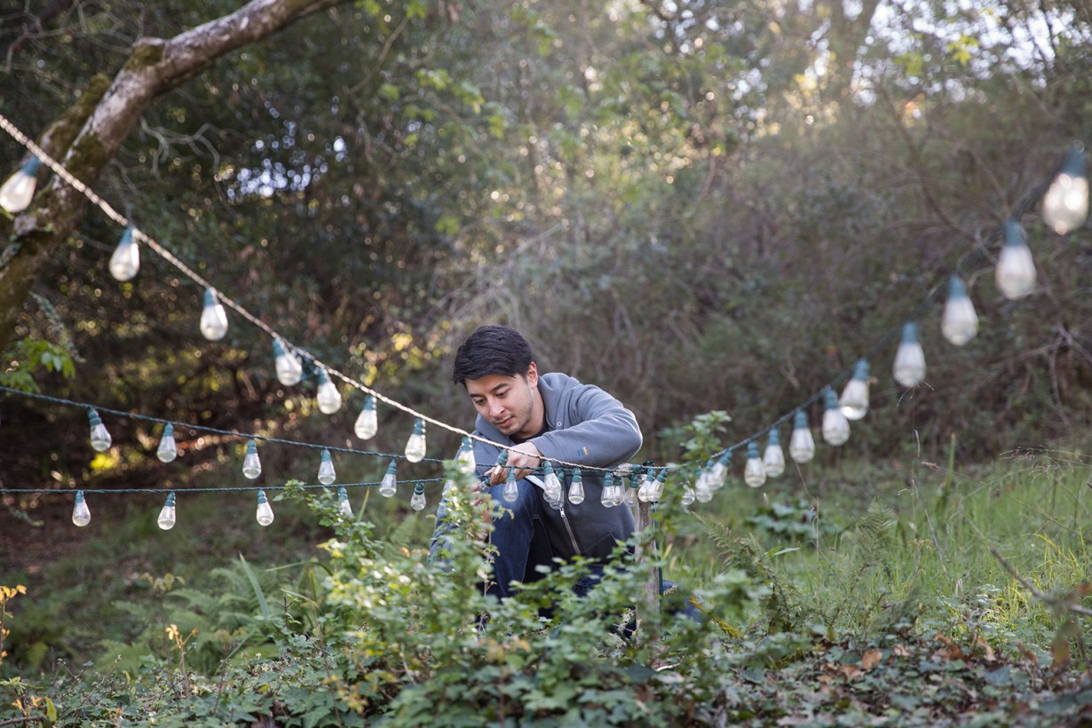 a man setting up solar Christmas lights