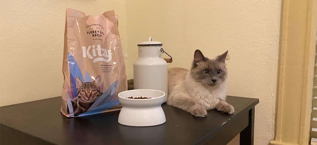 Kitzy Dry Cat Food Kitzy Dry Cat Food