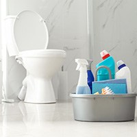 toilet bowl cleaners