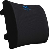 Everlasting Comfort Foam Back Cushion