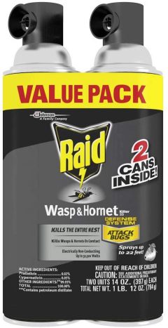 Raid Wasp & Hornet Killer