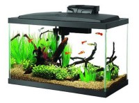 Aqueon Aquarium Fish Tank Starter Kit