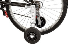 Lumintrail Adult Training Wheels