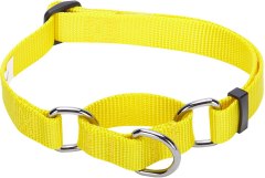 Blueberry Pet Essentials Safety Training Martingale Dog Collar