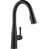 Delta Faucet Essa VoiceIQ Touchless Kitchen Faucet