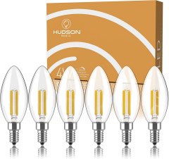 HUDSON BULB CO. 6-Pack Dimmable Indoor/Outdoor Bulbs