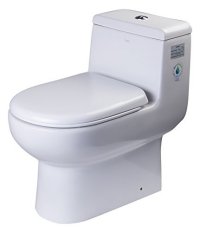 Eago Dual-Flush Toilet