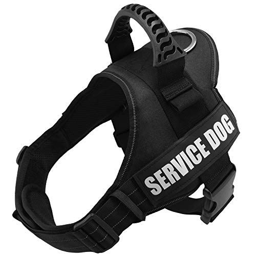 Official service dog vest hotsell