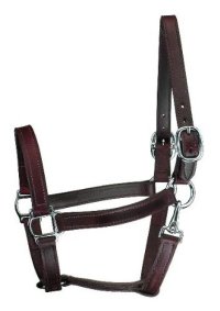 Perri's Leather Turnout Horse Halter