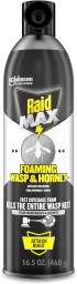 Raid