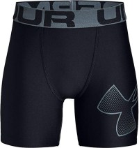 Under Armour Boy's HeatGear Fitted Shorts