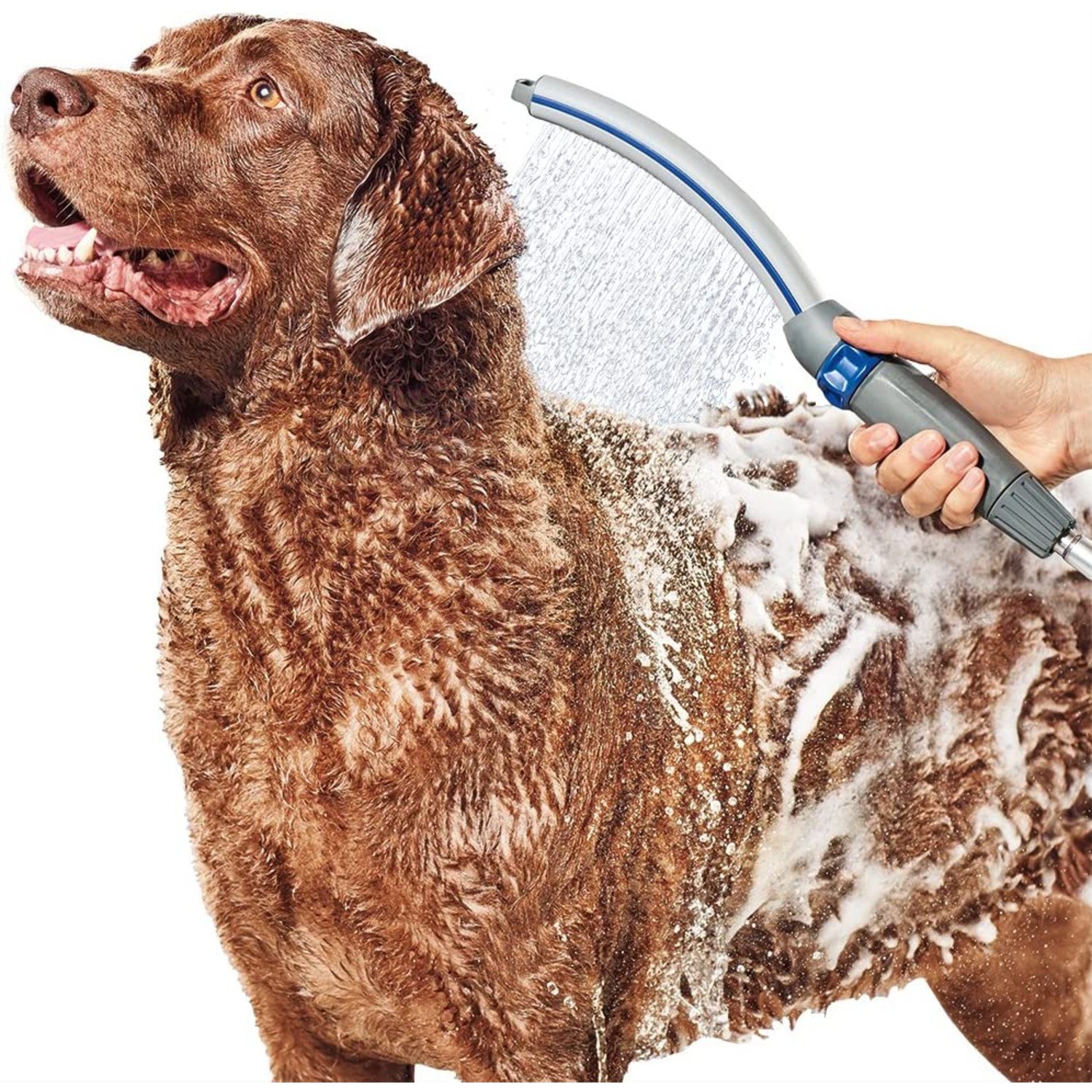 Waterpik PPR-252 Pet Wand Pro Shower Sprayer Attachment